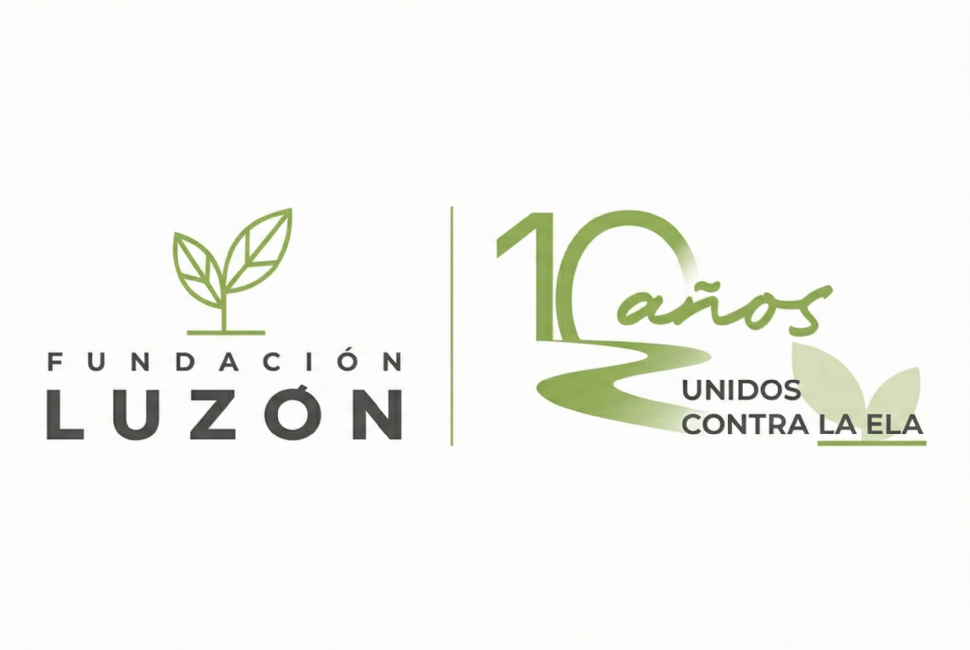 Fluzon Logo
